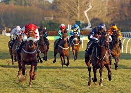 Market Rasen Best Picks(7-June)